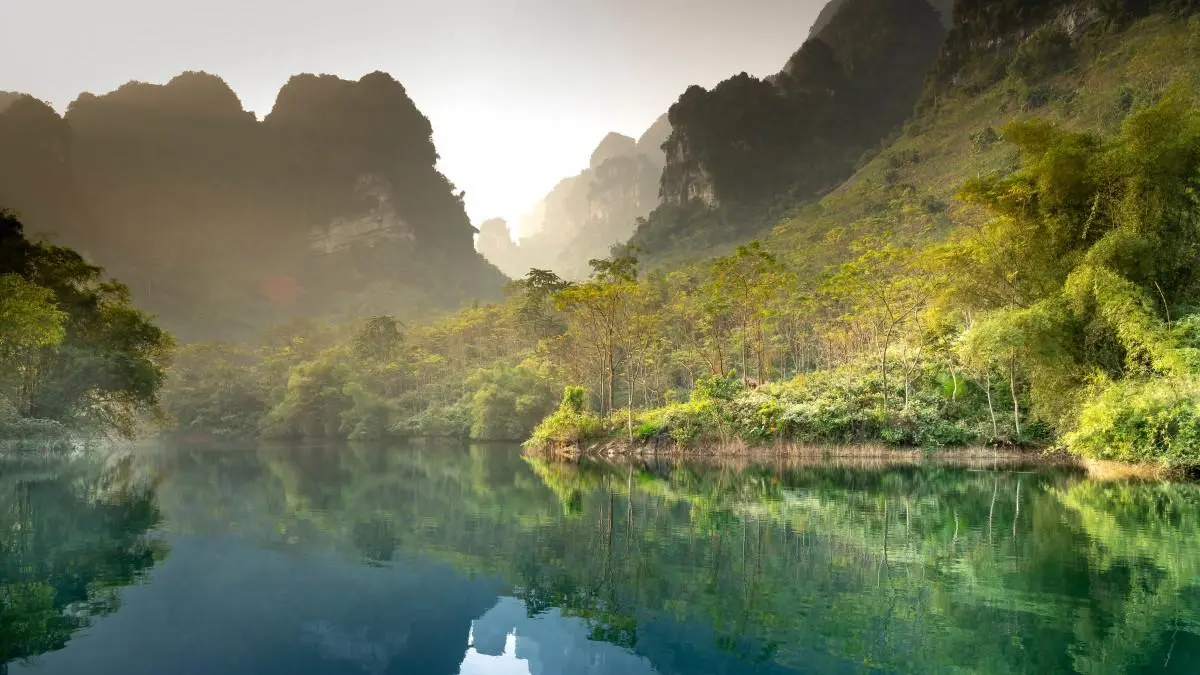 绿色科技科技